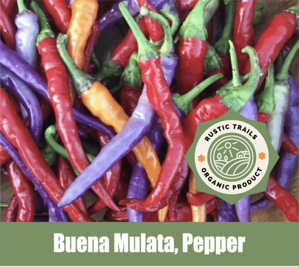 Buena Mulata, Pepper